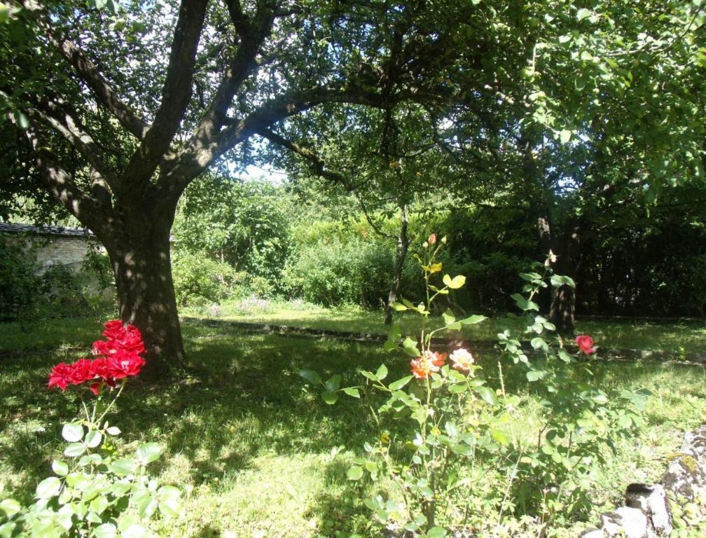 Le Grand Jardin Bed and Breakfast Beaune  Buitenkant foto